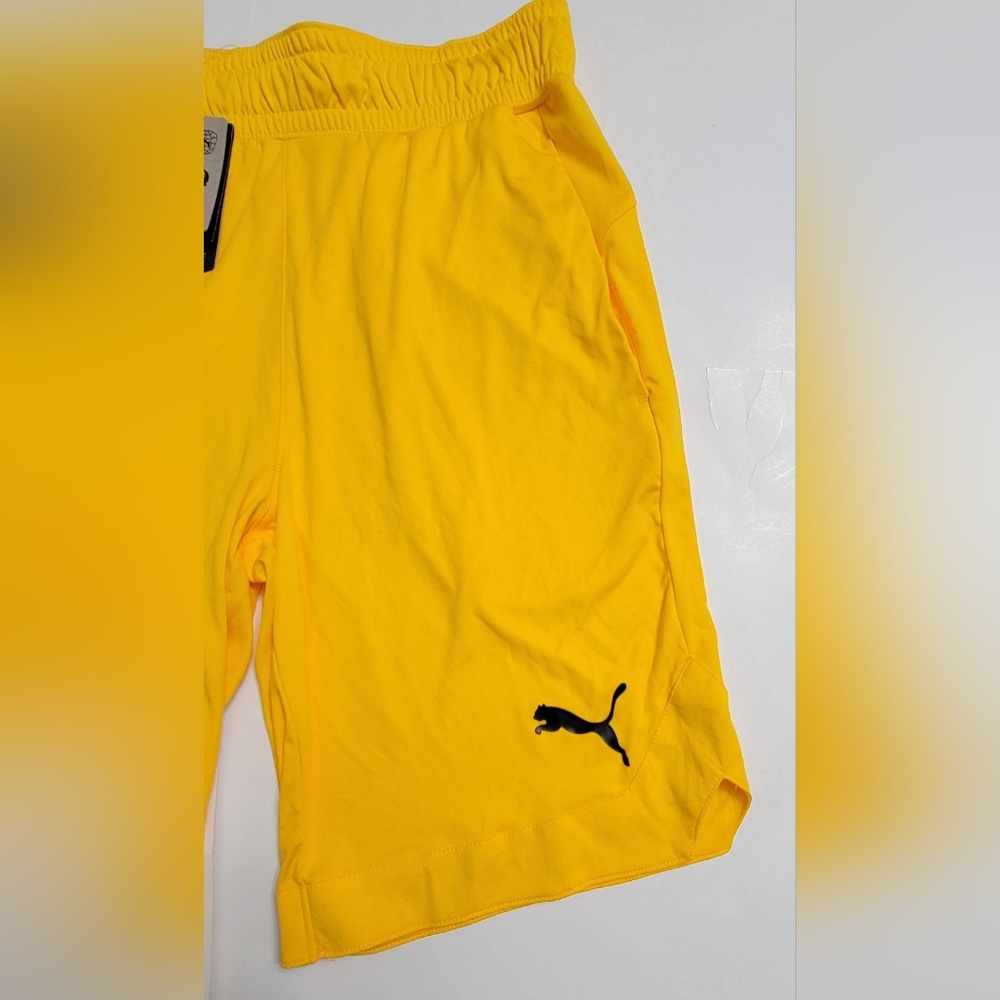 Puma Mens Workout 10 Shorts - Picture 6 of 6